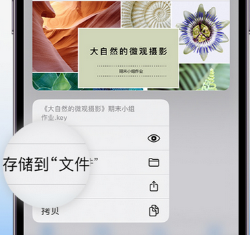 安顺apple维修中心分享iPhone文件应用中存储和找到下载文件