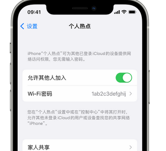 安顺apple服务站点分享iPhone上个人热点丢失了怎么办