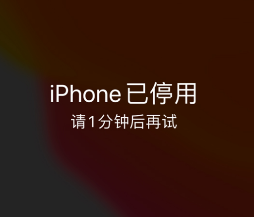 安顺苹果手机维修分享:iPhone 显示“不可用”或“已停用”怎么办？还能保留数据吗？ 