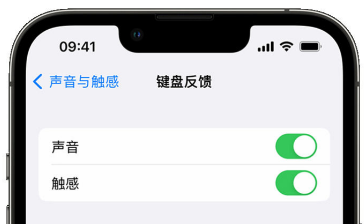 安顺苹果手机维修分享iPhone 14触感键盘使用方法 