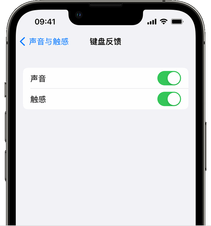 安顺苹果14维修店分享如何在 iPhone 14 机型中使用触感键盘 