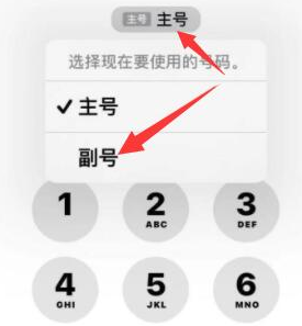 安顺苹果14维修店分享iPhone 14 Pro Max使用副卡打电话的方法 