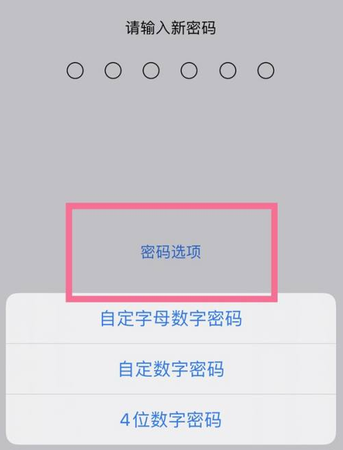 安顺苹果14维修分享iPhone 14plus设置密码的方法 