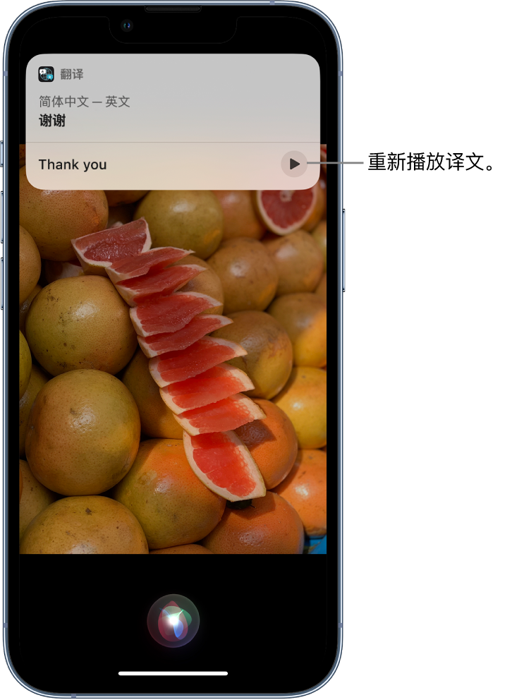 安顺苹果14维修分享 iPhone 14 机型中使用 Siri：了解 Siri 能帮你做什么 