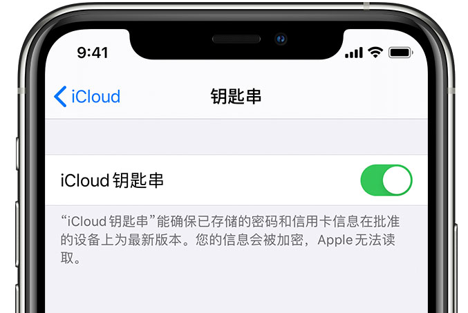 安顺苹果手机维修分享在 iPhone 上开启 iCloud 钥匙串之后会储存哪些信息 