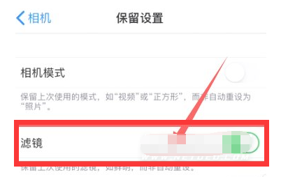 安顺苹果13维修分享iPhone13拍照有绿点是怎么回事 