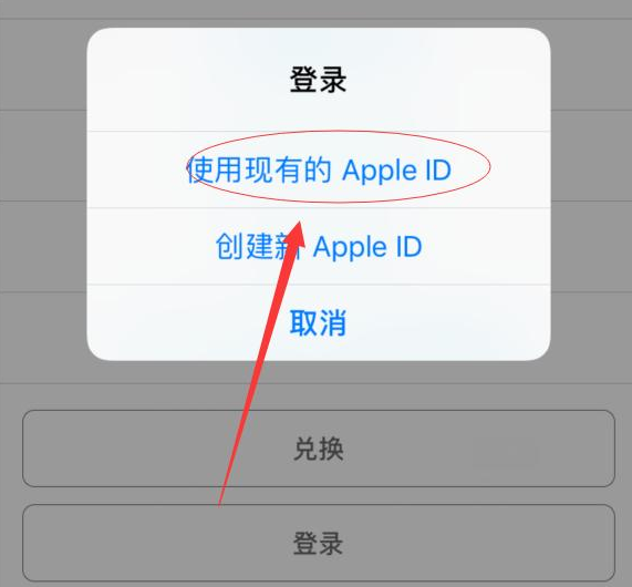 安顺苹果手机维修分享两台iPhone设备可以同时登录一个Apple ID吗 