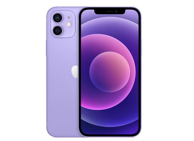 安顺苹果手机维修分享现阶段要不要入手紫色版iPhone12 