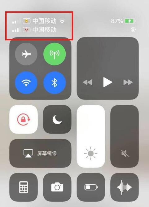 安顺苹果手机维修分享为 iPhone 12 双卡设置标签 